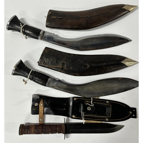 182 - Two Kukri knives and a Bowie-style knife, all in sheaths (3)