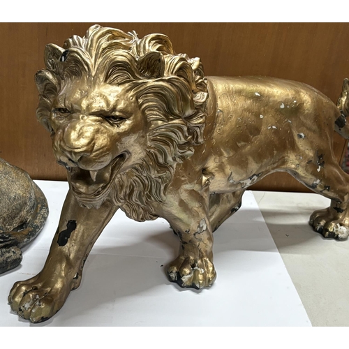 315 - 2 Large resin gold Lions