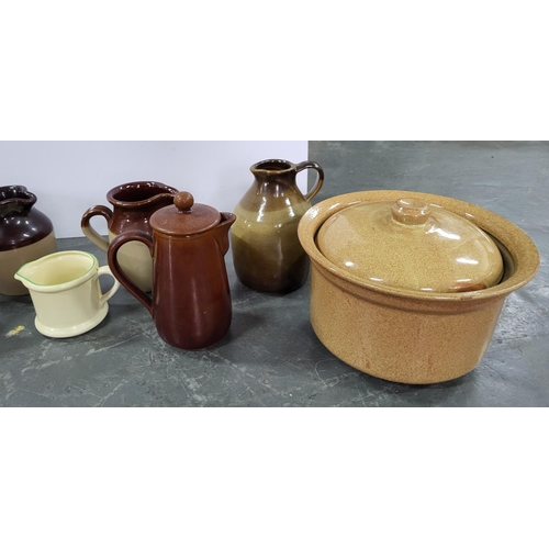 365 - Large collection of various stoneware jugs and three stoneware pots (Qty)