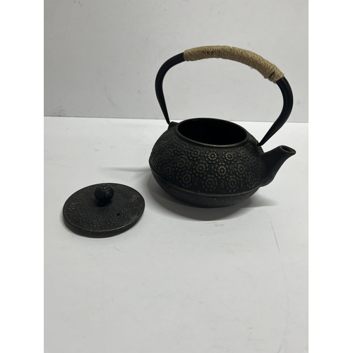 208 - Cast iron Chinese teapot