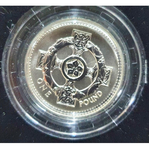 272 - Royal Mint 925 silver proof 2001 £1 coin with special frosted finish, only 2000 produced, with COA,
... 