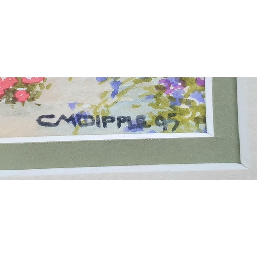 366 - Pair of 1995 garden scene watercolours, both signed D M Dipple and both in matching frames (2)