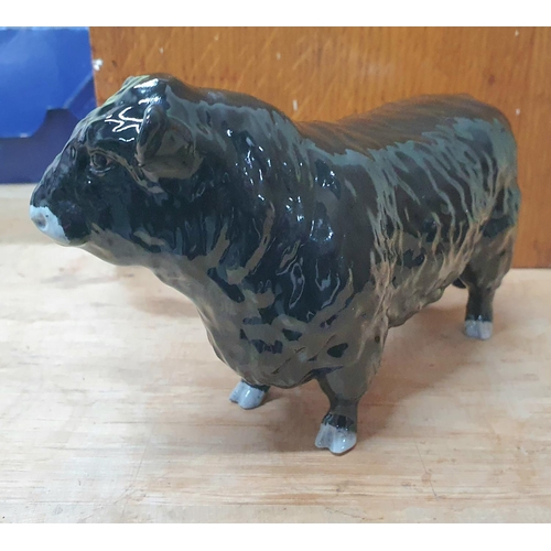 228 - A belted Galloway bull unsigned to under-side but indistinctly side, possibly Beswick to feet,

Appr... 