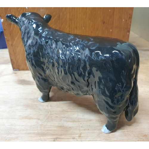 228 - A belted Galloway bull unsigned to under-side but indistinctly side, possibly Beswick to feet,

Appr... 