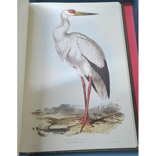 153 - BOOKBINDERS COPY - Birds Drawn for John Gould by Edward Lear Limited Edition Lear, Edward Published ... 