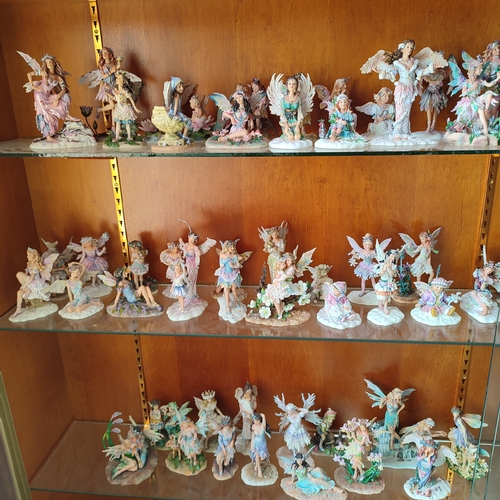 239 - Large collection of Leonardo fairy figurines by C. Haworth. approx. 120 figures