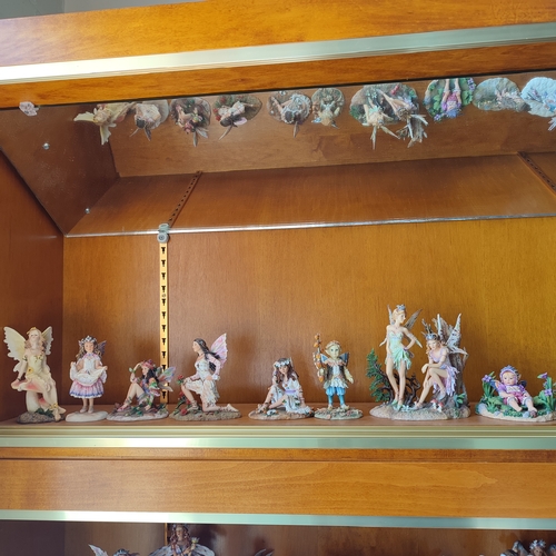 239 - Large collection of Leonardo fairy figurines by C. Haworth. approx. 120 figures