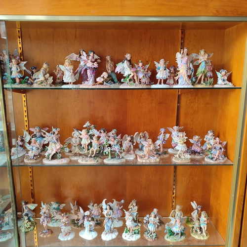 239 - Large collection of Leonardo fairy figurines by C. Haworth. approx. 120 figures