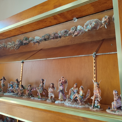 239 - Large collection of Leonardo fairy figurines by C. Haworth. approx. 120 figures