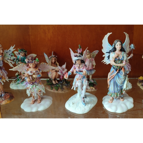 239 - Large collection of Leonardo fairy figurines by C. Haworth. approx. 120 figures