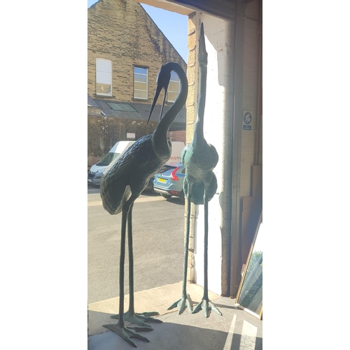 375 - Pair of huge bronze Herons, largest one is approx. 8ft. tall and the other approx. 7.5ft. tall (2)