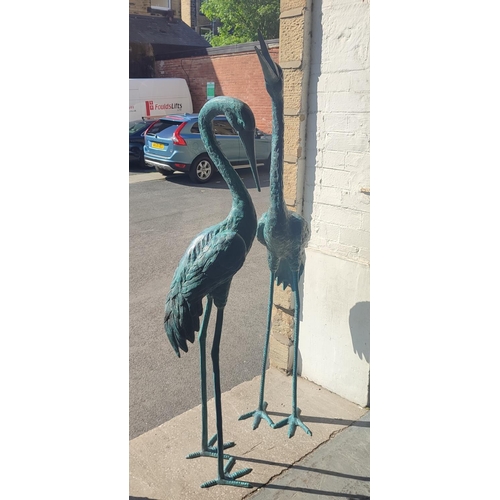 377 - Pair of large bronze Herons, largest is approx 170cm tall (2)