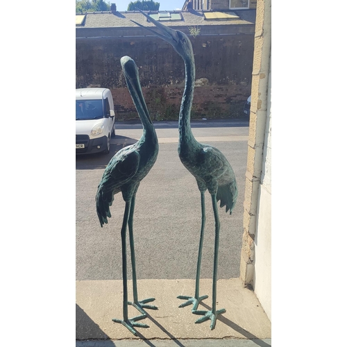 377 - Pair of large bronze Herons, largest is approx 170cm tall (2)