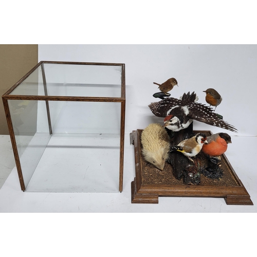 294 - Taxidermy of various birds and animals inside a wooden, glass display box