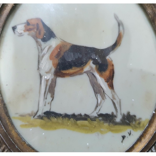 72 - Early 20thC miniature portrait in oil of a Beagle type dog, initialed D V, probably on ivorine and h... 