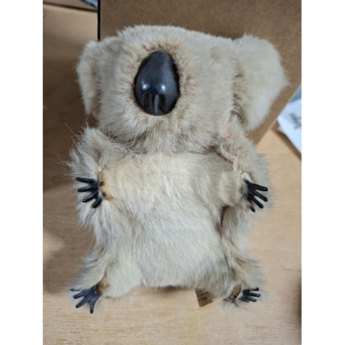 401 - Vintage Koala Bear teddy by Koala and Joey Toys of Queensland Australia,

13cm tall