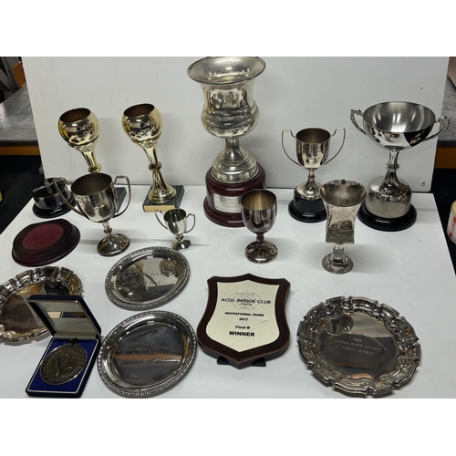 60 - Large collection of trophies