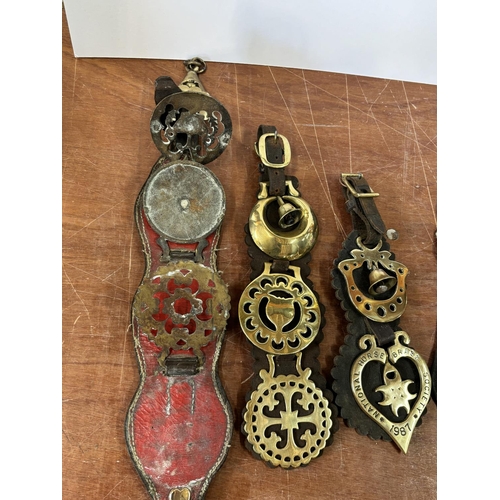 109 - 9 brasses all on leather straps including 1887and National Horse brass society 1987