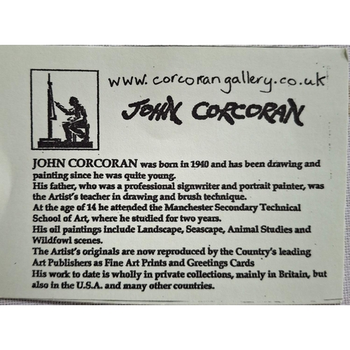 307 - John Corcoran (Born 1940 Nelson) small oil on canvas 