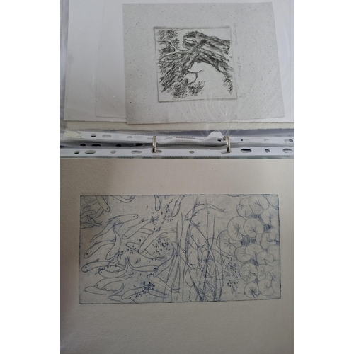 46 - Ann Carr (Bradford 1927-2020) folder of pencil signed and unsigned etchings (Qty)