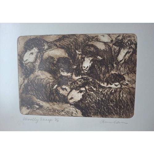 46 - Ann Carr (Bradford 1927-2020) folder of pencil signed and unsigned etchings (Qty)