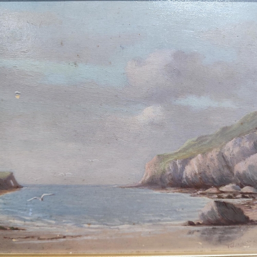 248 - Two 20thC. oils, one a country scene and the other a coastal scene, possibly by Canadian artist Thom... 