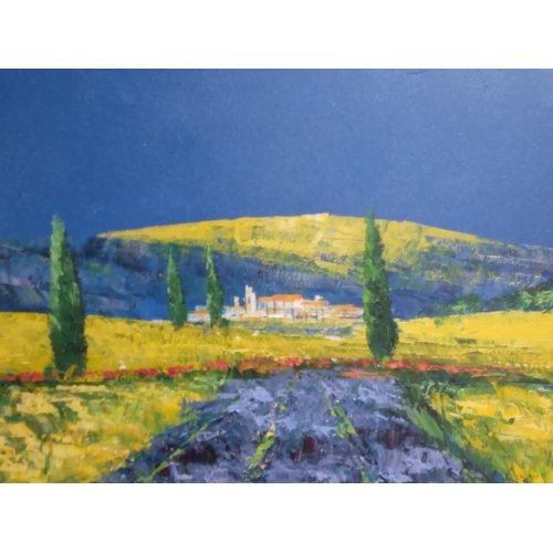 219 - Indistinctly signed oil on canvas depicting Mediterranean country scene, unframed

59 59cm