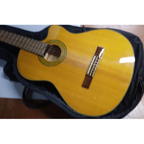 275 - Brunswick guitar with case