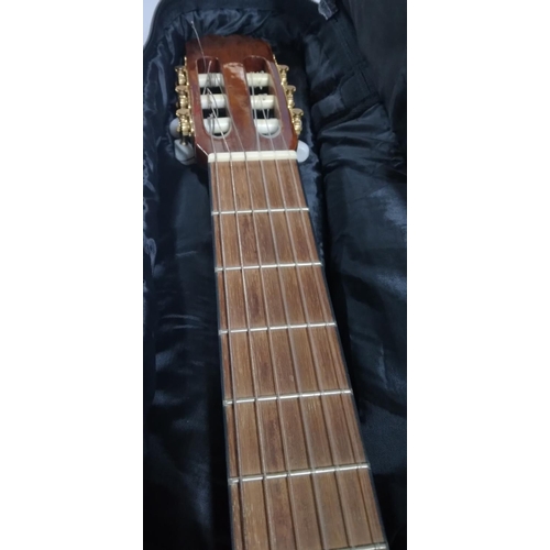 275 - Brunswick guitar with case