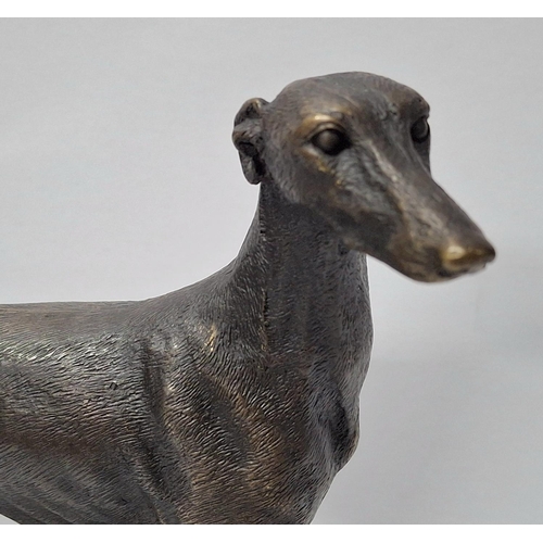 28 - Fine quality, small, modern cast bronze of a Greyhound type dog after Pierre Jules Mene,

The bronze... 