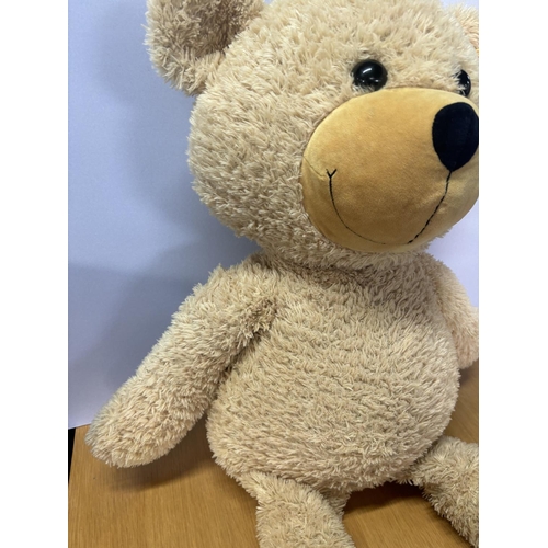 72 - Large (80cm long) Steiff Bear