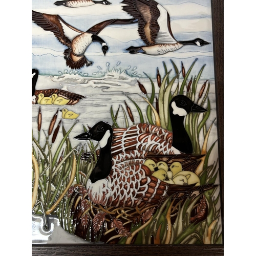 84 - Moorcroft 2017 framed wall plaque depicting various Canada Geese scenes by Helen Dale,

The plaque m... 