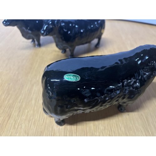 109 - Beswick Aberdeen Angus Bull together with 2 Beswick Aberdeen Angus Cows (3),

All in gloss