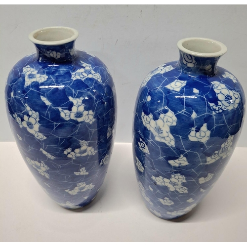 202 - Pair of unmarked Chinese vases in blue & white with Prunus pattern (2),

Both vases are approx 25cm ... 