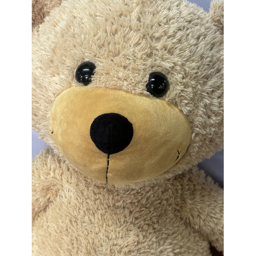 72 - Large (80cm long) Steiff Bear