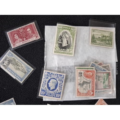 368 - Large quantity of loose mint unmounted/unused unmounted KGVI British and Commonwealth stamps (Qty)