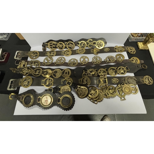 411 - Large collection of horse brasses on leather straps