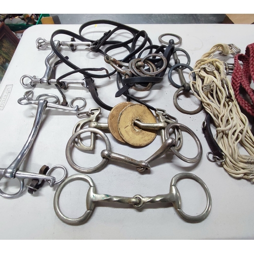 334 - Selection of Equestrian harnesses, stirrups etc. (Qty)