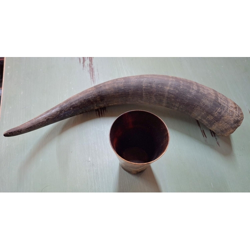 379 - Long animal horn together with a vintage horn beaker (2)