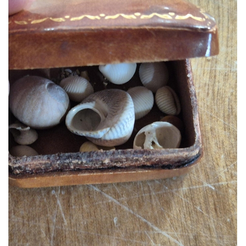 53 - 19c tiny leather trinket box with miniscule shells