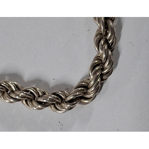 20 - Silver twist necklace