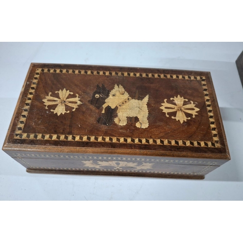 111 - Tunbridge ware type inlaid box depicting 2 Terrier dogs together with a box with mother of pearl inl... 