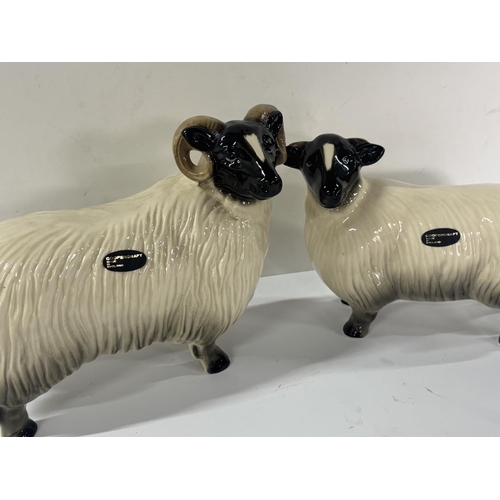 322 - Two Coopercraft White Sheep