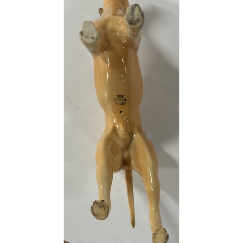 324 - Beswick CH Jovial Roger Dog