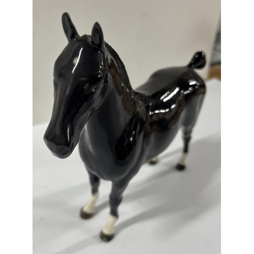 339 - Black Beswick Dock tailed Horse CH Black Magic