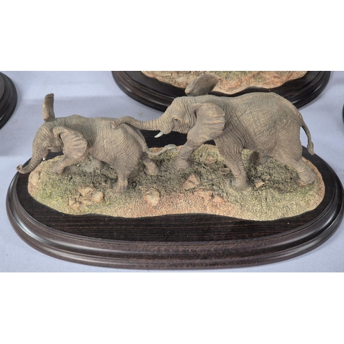 354 - Four good quality Country Artists, Elephant themed figurines, all on wooden plinths (4)