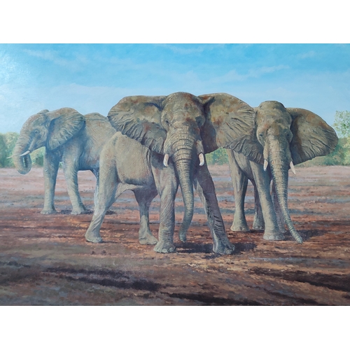 203 - Linden S. Cooke, large oil on canvas depicting Elephants in pleasing modern frame, 55 x 90cm