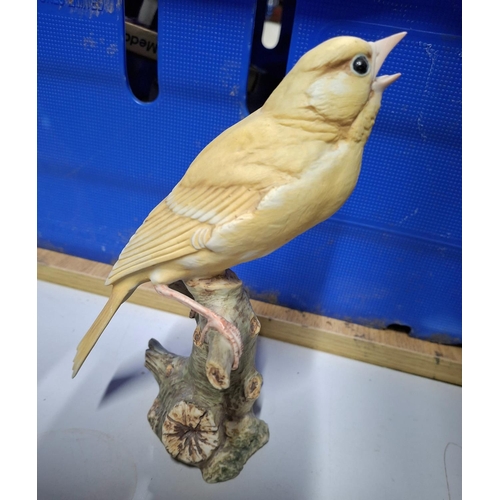 11 - Stunning mid 20thC bisque porcelain figurine of a Finch on a branch, marked to base, possibly Capodi... 