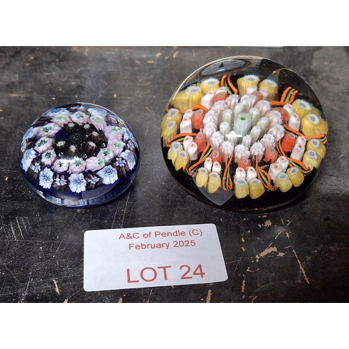 Lot 24        