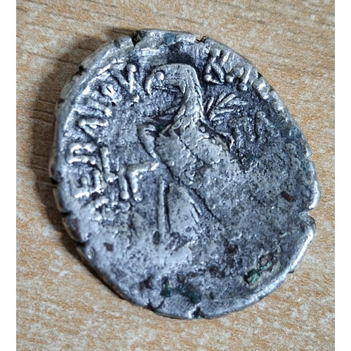 118 - Kings of Egypt, Ptolemy IX, Silver Tetradrachm, possibly  Cleopatra III and Ptolemy IX Soter II (116... 